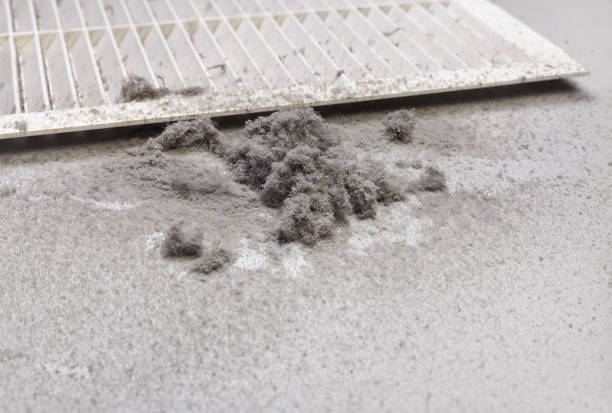 Affordable HVAC Duct Cleaning in Trent Woods, NC