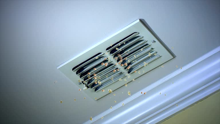 Best Professional Duct Cleaning Services  in Trent Woods, NC
